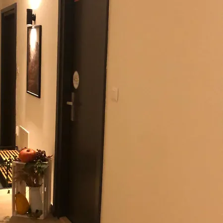 Apartment House By Ally