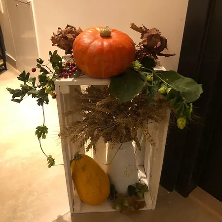 House By Ally * Pavčina Lehota